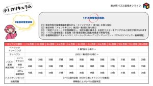 curriculum-elementary-1.pdf